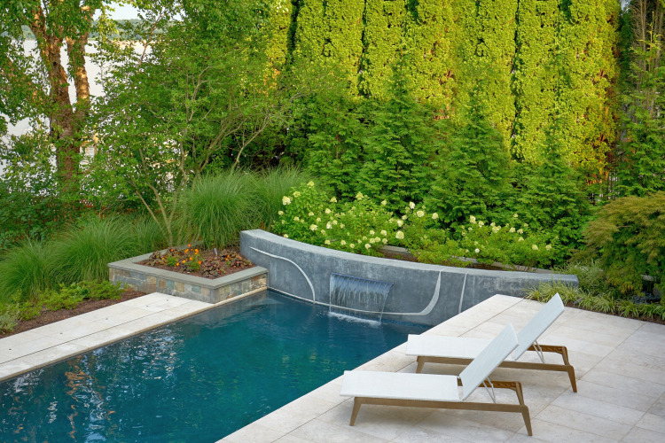 Beautifully landscaped backyard in Alexandria with a vibrant pool and lush greenery.
