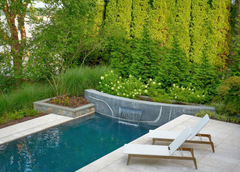 Beautifully landscaped backyard in Alexandria with a vibrant pool and lush greenery.