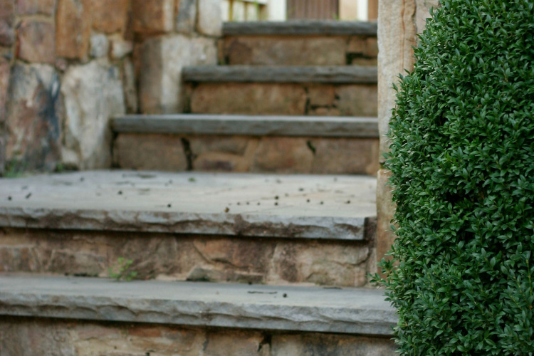 Enchanted-Tennis-Pavilion-04