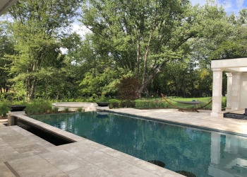 McLean Modern pool and lush greenery landscaped