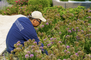 Lawn Maintenance Worker Near Flowers in Great Falls, VA