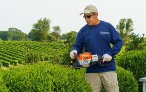 Yard maintenance in progress in Washington, DC with a hedge trimmer